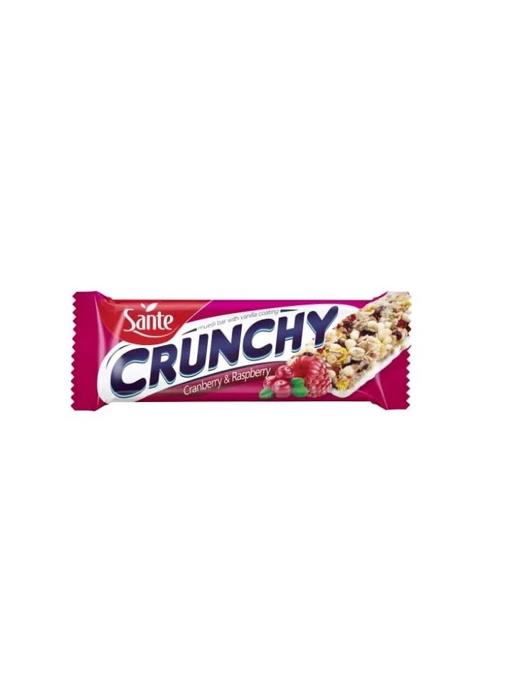 Sante Sante Crunchy bar with cranberries covered with vanilla 40 grams 