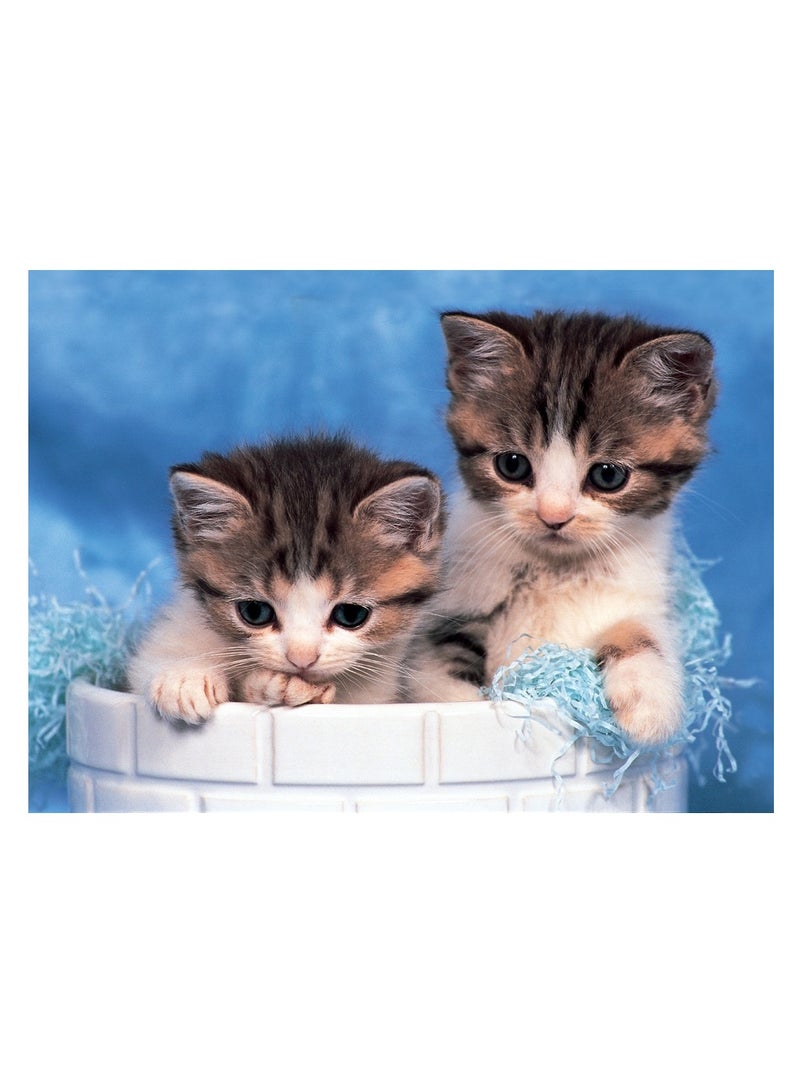 توماكس بازل البحث عن القطع 500 قطعة - 50-098 - Image 2