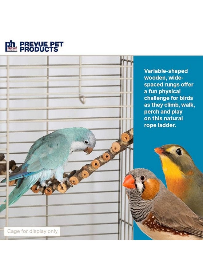 Prevue Pet Products Prevue Pet Products Naturals Rope Ladder Bird Toy, Wood Stairs Climbing Activity Attachment for Birdcage, Earth Tone Brown 62806  - Image 2
