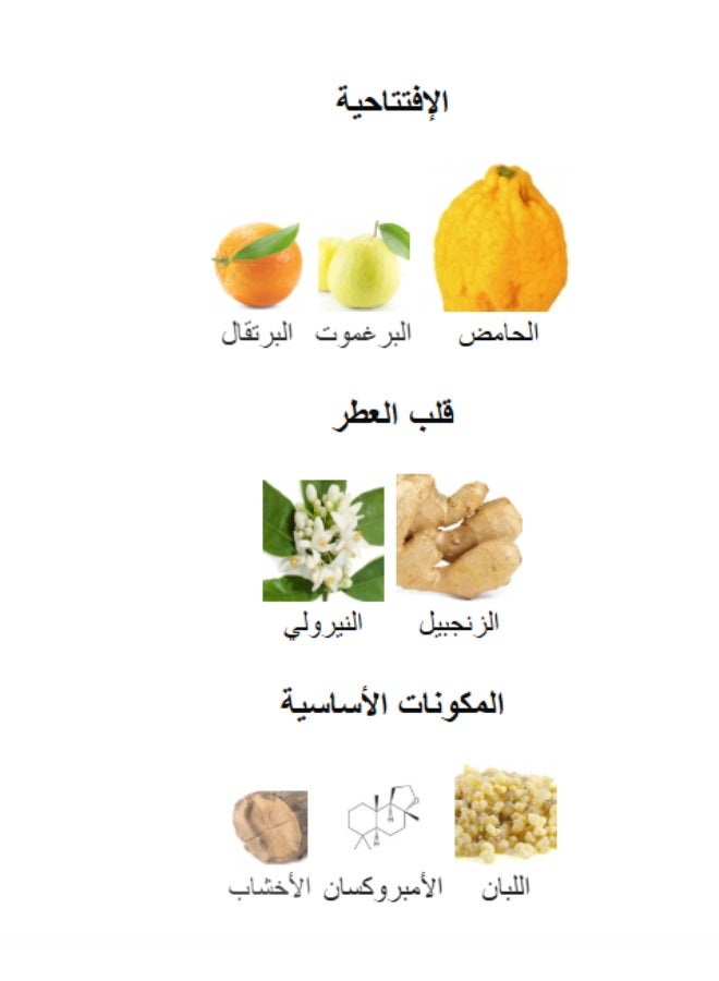 زيميا عطرمزاج او دي بارفان 100 مل - Image 3