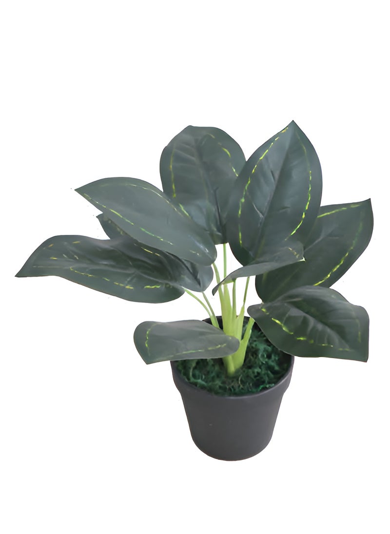 ESSENTIALS 360 Artificial Small Fake Plants 25cm Artificial Decor for Home, Bedroom, Aesthetic Living Room, Kitchen, Work or Study Table, Bathroom Farmhouse Decor Indoor  - Image 1