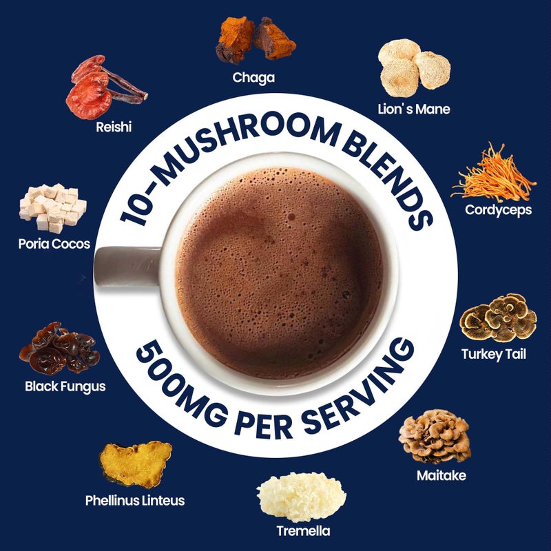 Mushroom Hot Chocolate, 50 Servings Cocoa Powder | 10 Mushrooms Supplements with Elderberry, Aloe Vera, Echinacea & Quercetin | Support Immunity, Gut & Stress Health | Vegan & Keto, Gluten-Free - Image 3