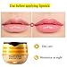 Krajiyya 2PCS Bee Balm Honey PotPropolis Moisturizing Lip MaskHydrating Prevention Dry and Cracked Lip Scrubs Exfoliator - Image 4