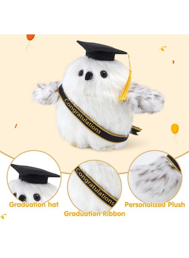 Funbase FunBase Graduation Light Up Stuffed Plush Owl Class of 2025 LED Night Light Glow Plush Stuffed Animal Graduation Cap with Tassel Reward Celebration Grad Gift(10 inch)  - Image 3