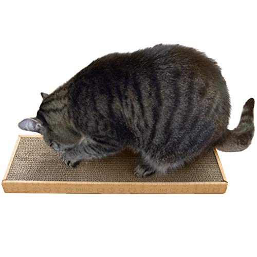 Furhaven Scratching Board w Catnip for Indoor Cats Reversible Classic Corrugated Cat Scratcher Pad Yellow Small - Image 3