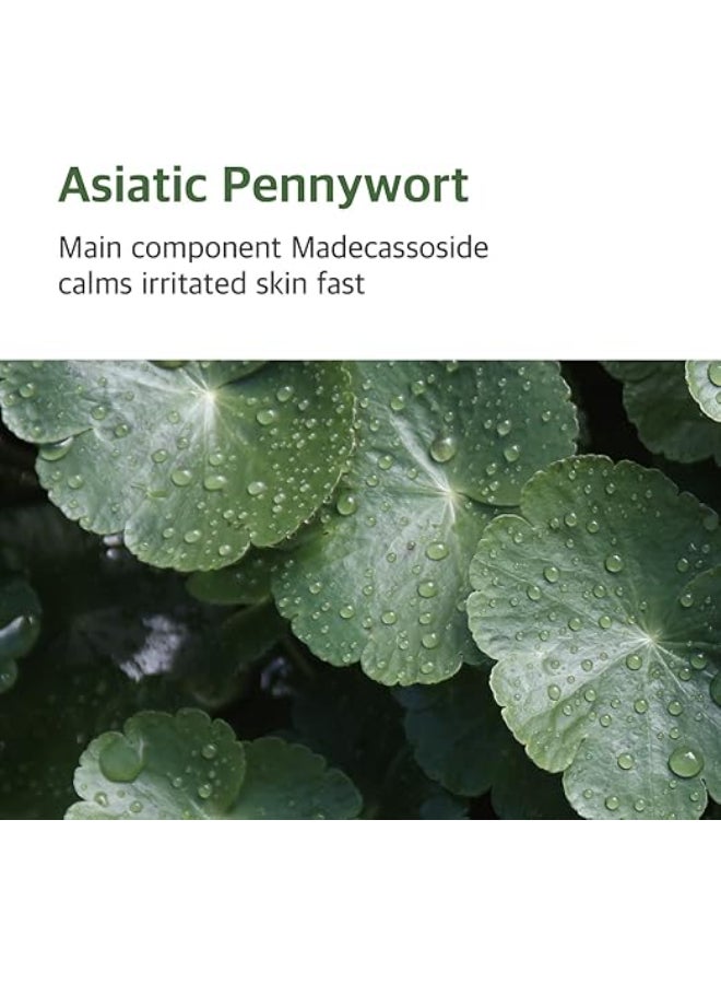 ROUND LAB Mugwort Calming Toner_300Ml - Image 5