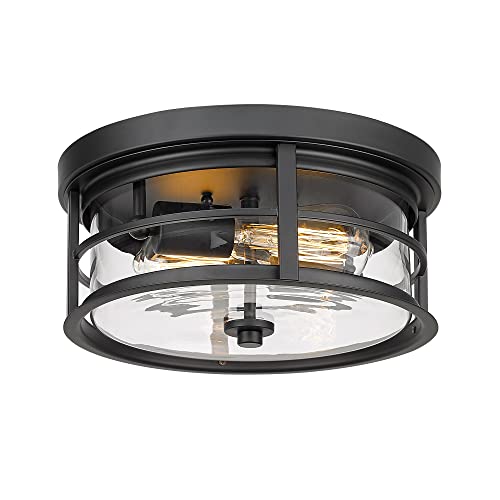 EAPUDUN Flush Mount Ceiling Light, 12inch 2-Light Metal Close to Ceiling Light Fixture, Matte Black Finish with Clear Glass Shade for Hallway Entryway Bedroom Porch FMA1412-MBK - Image 1