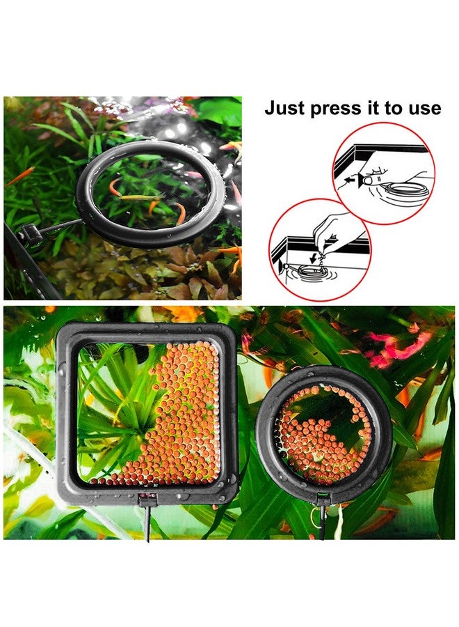 مولين حلقة تغذية أسماك المولاين، قطعتان من ملحقات حوض السمك والسلاحف - وحدة تغذية دائرية للأسماك الجوبي والبيتا والذهبية والسلحفاة (أسود) - Image 4