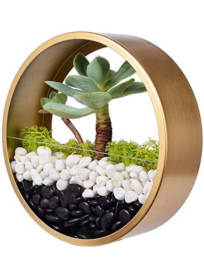 Schmick 1 Kg Black Pebbles Stones for Plants Pots, Fish Tank Aquarium, Decoration, Garden, Table and Home Decor, Vase Fillers (1 Kg, Black Stone) - Image 4