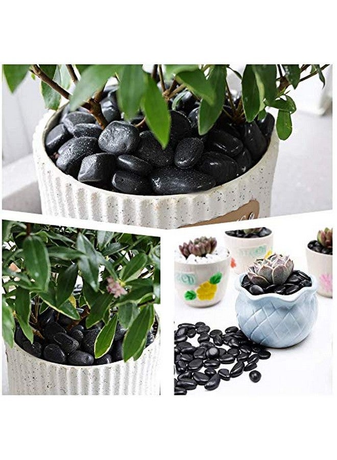 Schmick 1 Kg Black Pebbles Stones for Plants Pots, Fish Tank Aquarium, Decoration, Garden, Table and Home Decor, Vase Fillers (1 Kg, Black Stone) - Image 5