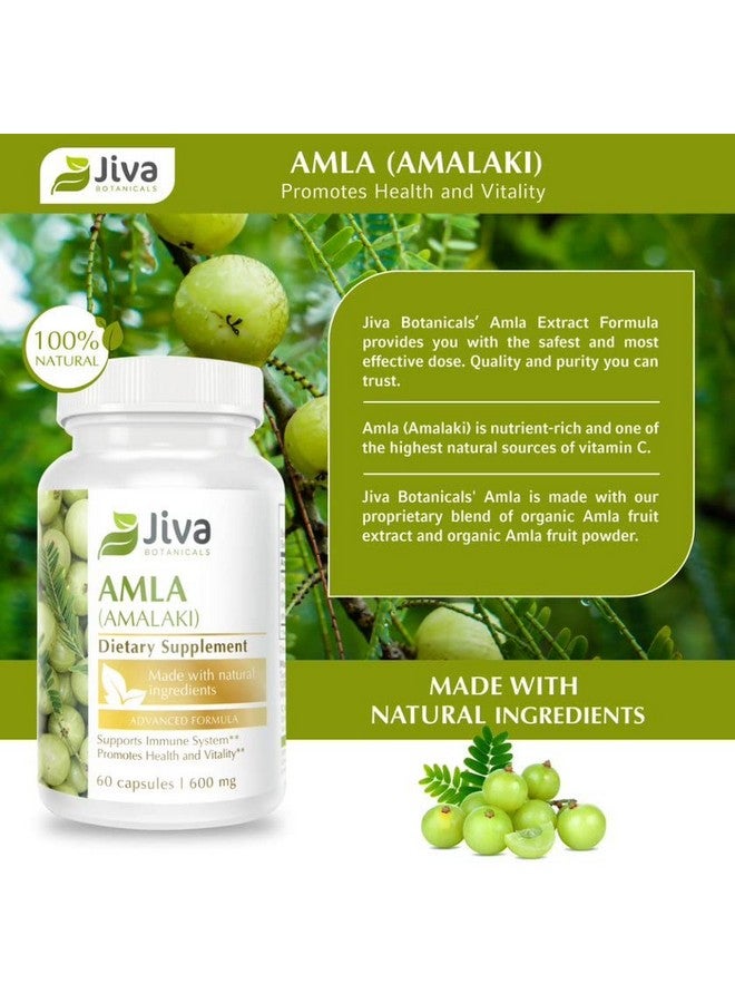 Jiva BOTANICALS Amla Capsules (Amalaki) Containing Amla Powder Amla Churna Supplement Amla Herbal Supplement Made With Organic Amla Fruit Powder Alternative To Amla Juice 60 Vegan Capsules - Image 3