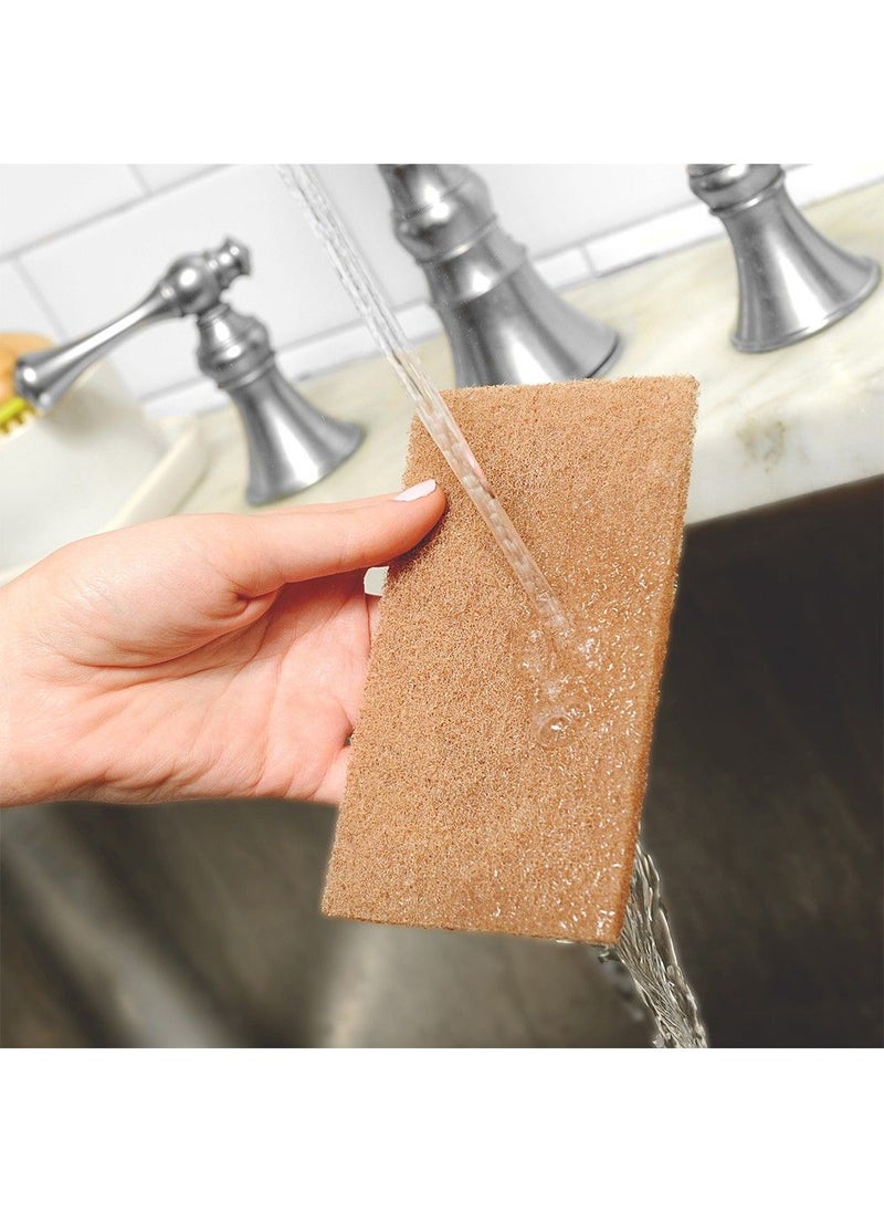 Full Circle - Full Circle Walnut Scour Pads Pack Of 3 - Image 1