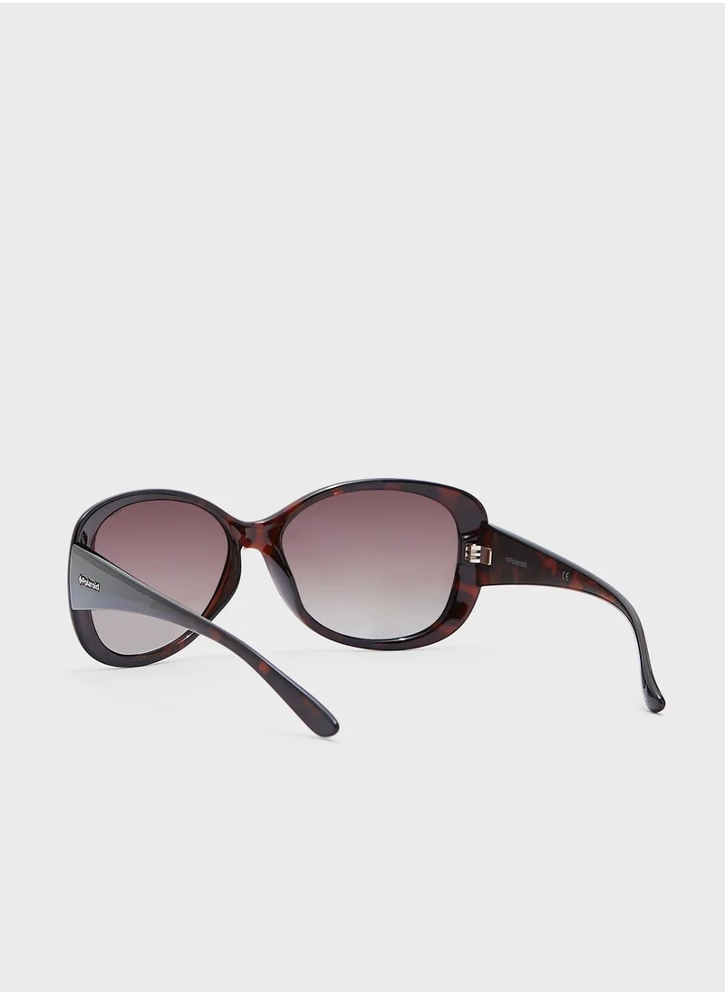 Polaroid P8317 Sunglasses