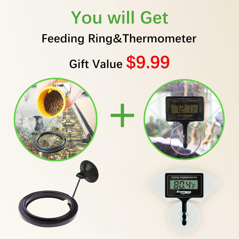 FREESEA Automatic Fish Feeder for Aquarium: Vacation Food Dispenser with Timer for Betta Tank - Image 3
