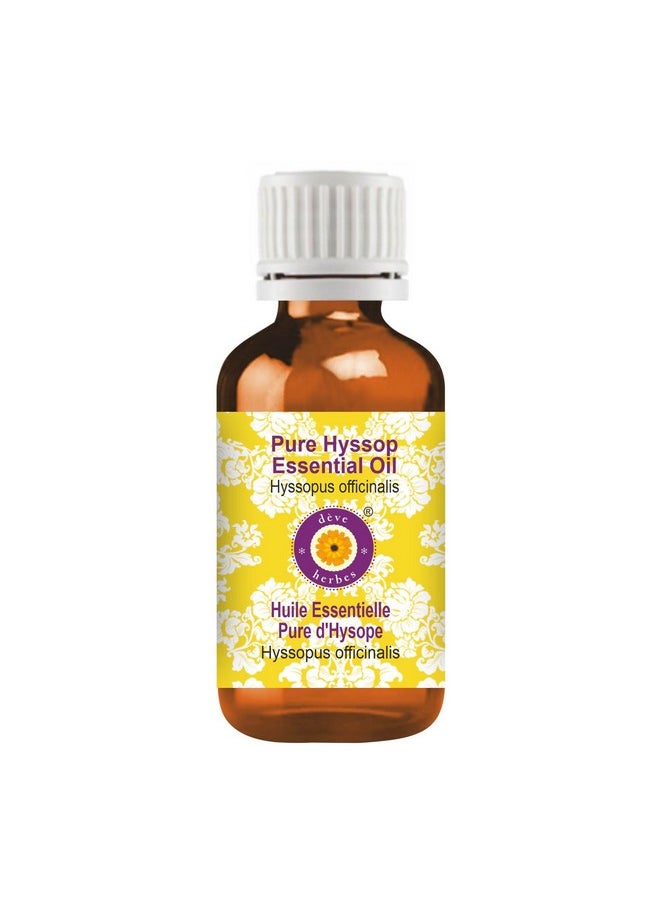 Deve Herbes - Deve Herbes Pure Hyssop Essential Oil (Hyssopus officinalis) Steam Distilled 2ml - Image 1