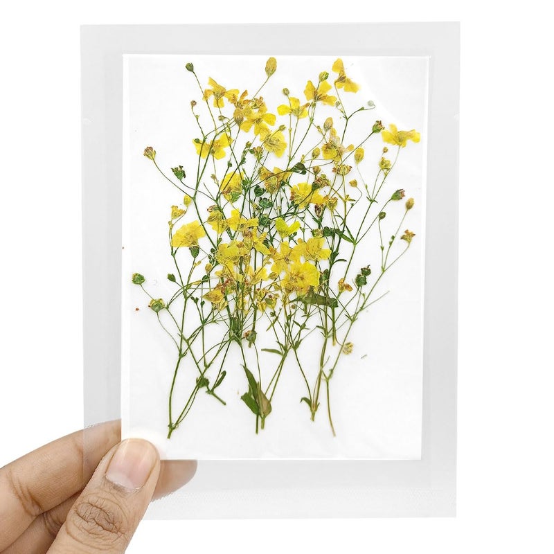 YellowCult YellowCult Natural Real Dried Pressed Flowers Sheets for Art Craft Mixed Multicolor for Soap Candle Journal DIY Resin Jewelry PendantXiaa GrassYellow 