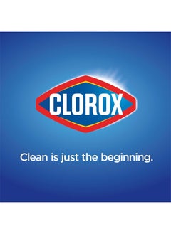 Clorox Clorox Automatic Rain Clean Toilet Bowl Cleaner Tablets (Bleach and Blue) - 4 Count  - Image 2