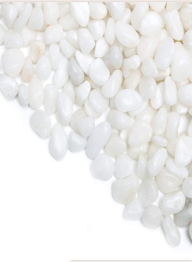 Aakriti Natural River Rocks Polished Medium Pebbles for Plants Garden Decorative Stones, Ideal for Fish Tank, Vases, Succulents, Crafting, Home Decor and Garden Landscaping, White (900Gm) - Image 2