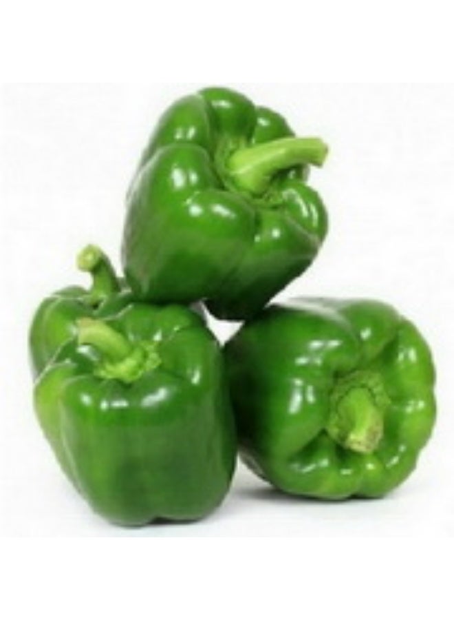 Green Capsicums   500g