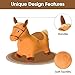 Hot Max HotMax Brown Hopping Horse Toy Removable Inflatable Plush Bouncy Horse for Toddlers Outdoor Ride on Bouncy Farm Animals Birthday Gift for 18 Months 2 3 4 Year Old Boy or Girl - Image 3