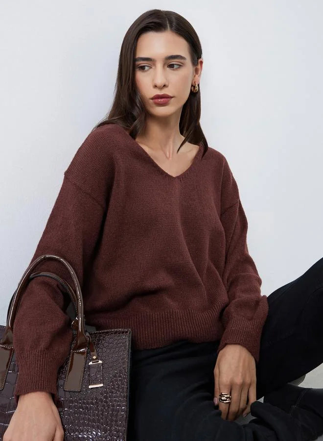Styli Brown Regular Fit V-Neck Sweater