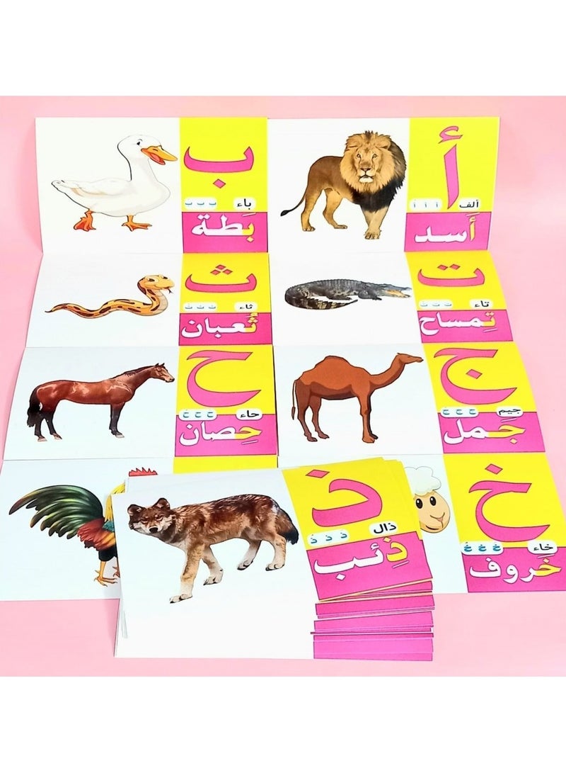 Letter cards + coloring - Image 2