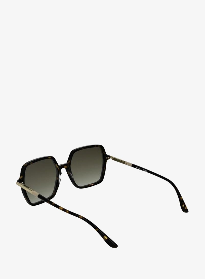 لاكوست نظارات شمسية مستطيلة - Image 5