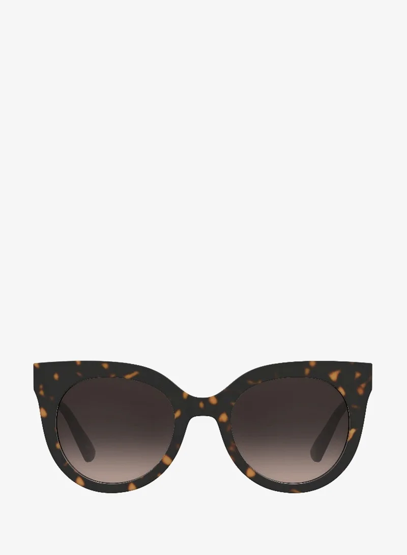 Moschino  MOSCHINO MOS212/S Sunglasses Brown Cat Eye  | Best Price UAE