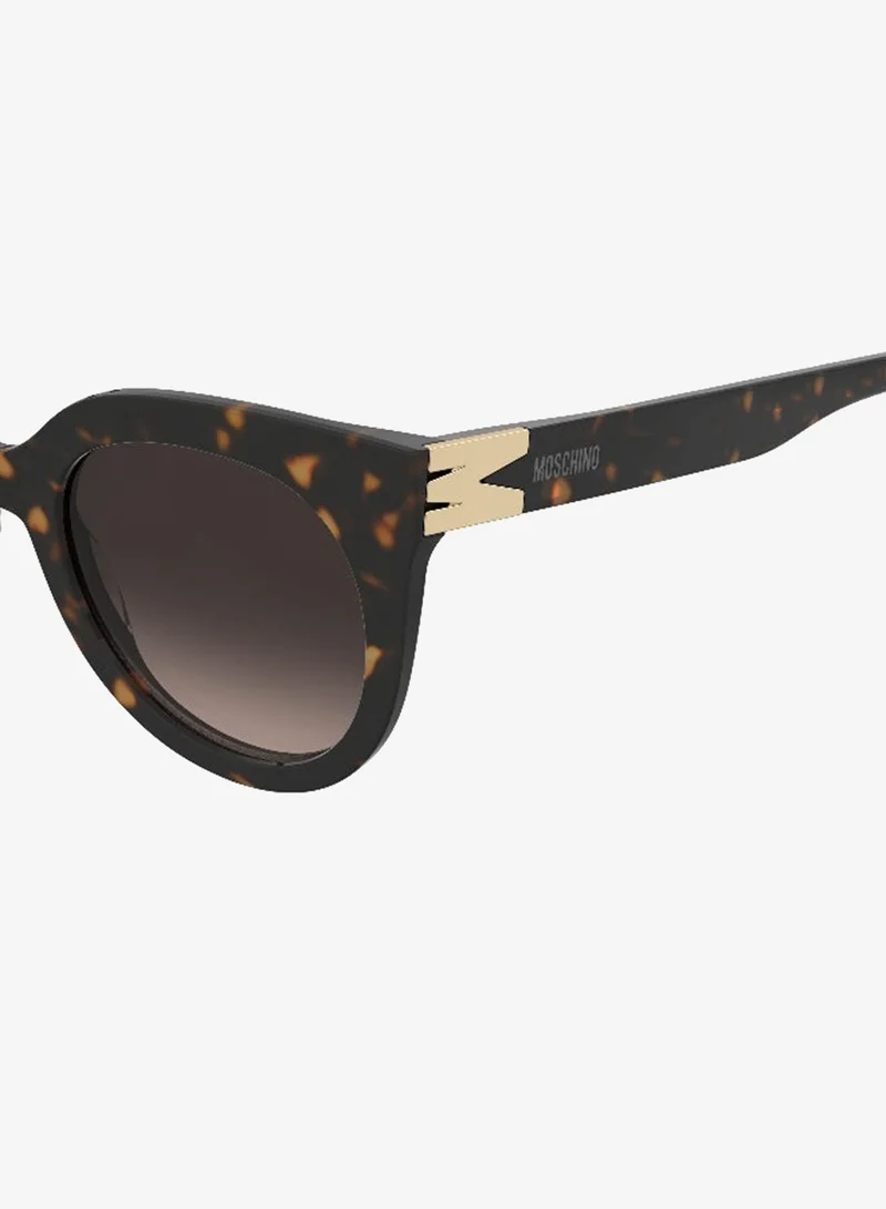 Moschino  MOSCHINO MOS212/S Sunglasses Brown Cat Eye  | Best Price UAE