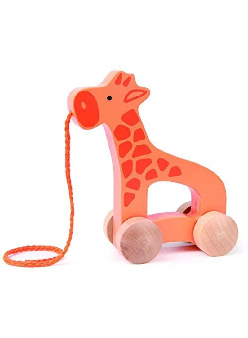 هيب Hape, Giraffe Wooden Push And Pull for Toddler, Wooden Toys For Walking Toddlers, Interactive Wooden Animal Toy, Educational Pull Along Toy, Teaches Motor Skills and Imagination