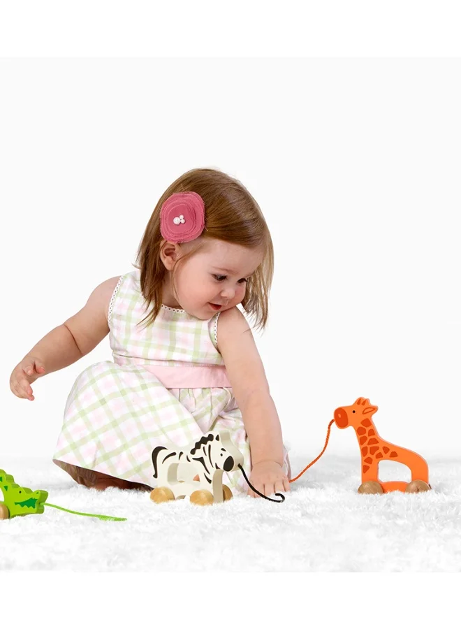 هيب Hape, Giraffe Wooden Push And Pull for Toddler, Wooden Toys For Walking Toddlers, Interactive Wooden Animal Toy, Educational Pull Along Toy, Teaches Motor Skills and Imagination