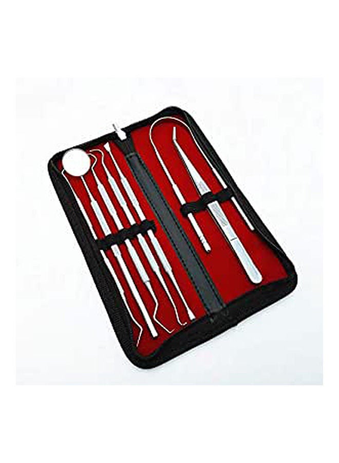 NIBEMINENT Stainless Steel 7 Pcs Pick Carving Dental Tool - Image 1