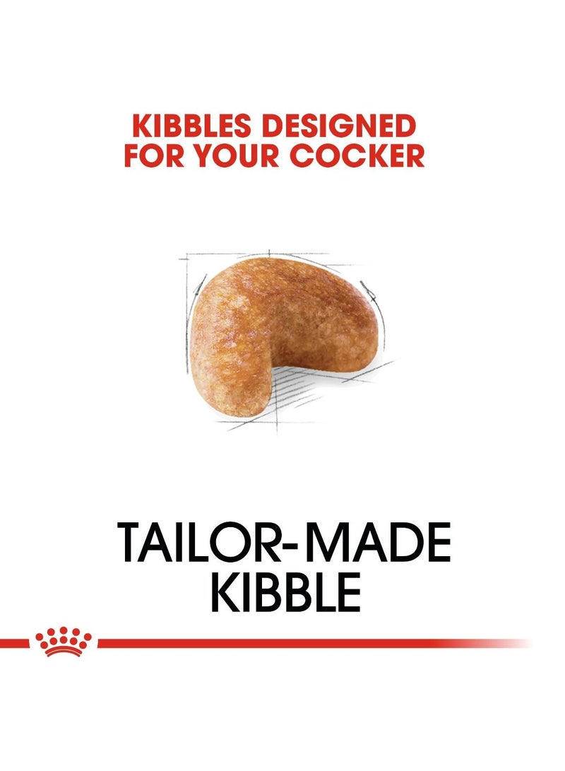 Royal Canin Breed Health Nutrition Cocker Adult 3 KG - Image 2