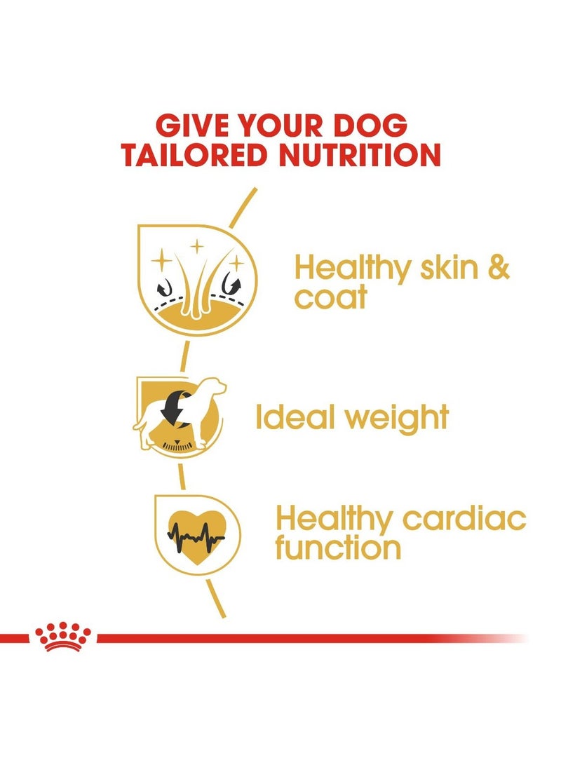 Royal Canin Breed Health Nutrition Cocker Adult 3 KG - Image 4