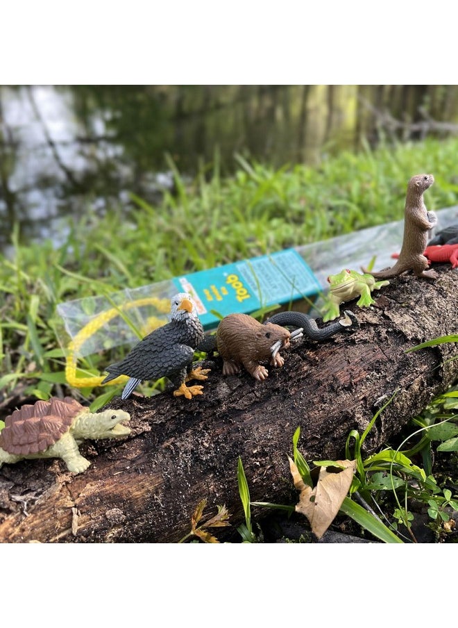 Safari Ltd. - River Ecosystem Toob - Figurines Of Bald Eagle, Beaver, Alligator & More - Fun Educational Play Toy For Boys, Girls & Kids Ages 3+ - Image 1