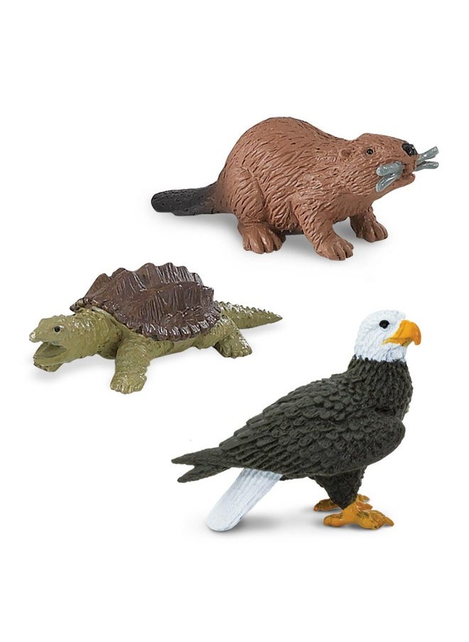 Safari Ltd. - River Ecosystem Toob - Figurines Of Bald Eagle, Beaver, Alligator & More - Fun Educational Play Toy For Boys, Girls & Kids Ages 3+ - Image 1