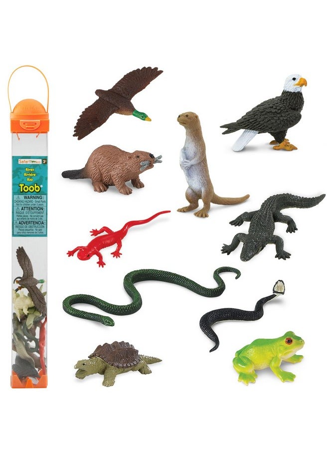 Safari Ltd. - River Ecosystem Toob - Figurines Of Bald Eagle, Beaver, Alligator & More - Fun Educational Play Toy For Boys, Girls & Kids Ages 3+ - Image 1