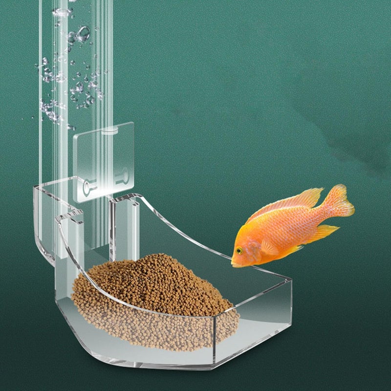 Caylingdee 200MM Aquarium Feeding Tube Fish Feeder Tube Clear Acrylic Shrimp Feeding Tube with Hooks and Suction Cups for Aquarium Fish Tank Feeder - Image 4
