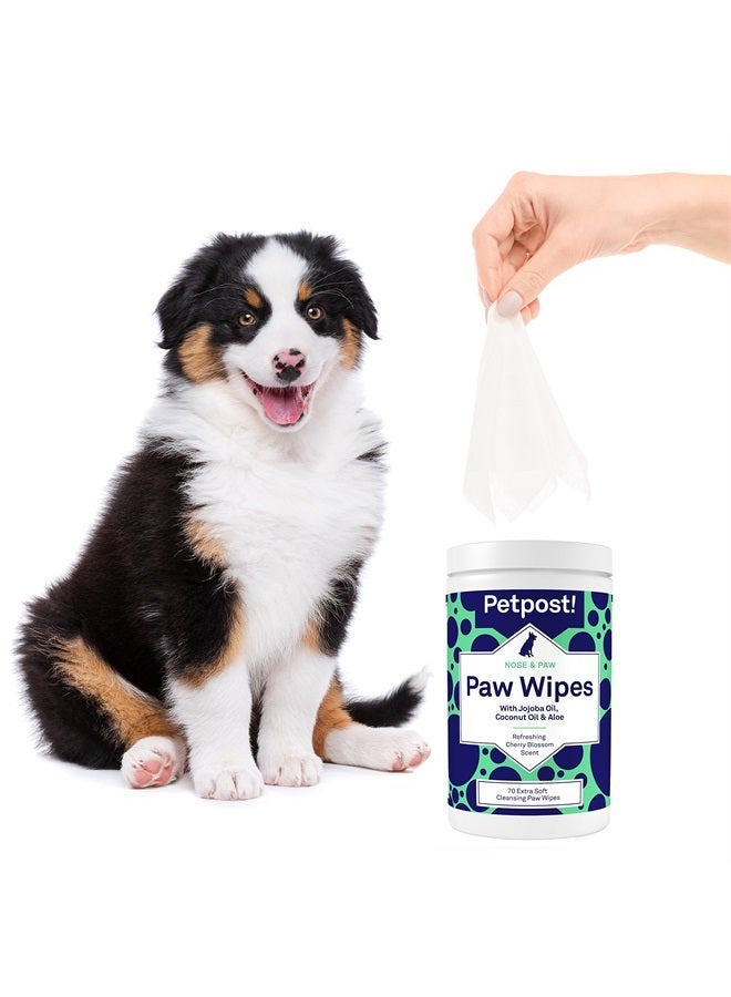 Petpost Paw Wipes for Dogs - Nourishing, Revitalizing Dog Paw Cleaner with Coconut Oil, Jojoba Oil, and Aloe - 70 Ultra Soft Cotton Pads (Cherry Blossom)