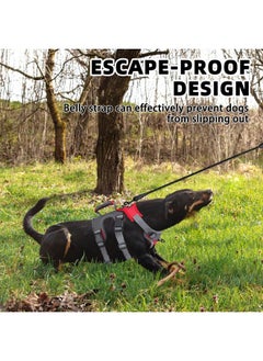 PUPTECK PUPTECK Escape Proof Dog Harness and Leash Set Upgraded No Pull Reflective Dog Vest with Lift Handle, Easy Control Pet Harness for Medium Large Dogs Training Walking Running  - Image 4