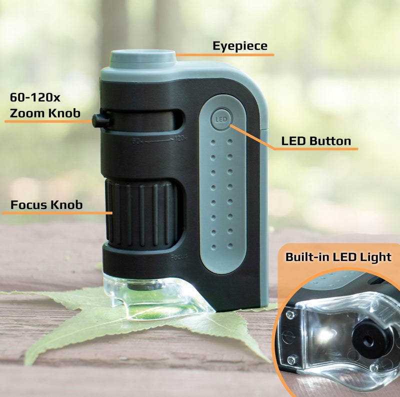 Carson Carson MicroBrite Plus 60x-120x LED Lighted Pocket Microscope, Portable Handheld Microscope STEM Toy, Mini Microscope for Student Science Lab, Educational Portable Microscope (MM-300)  - Image 3