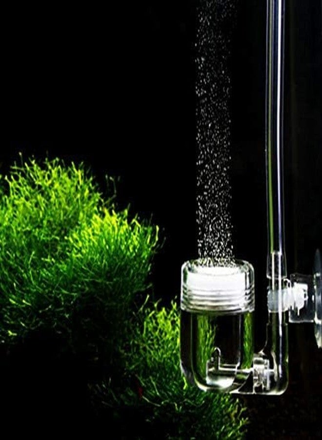 VAYINATO PetzLifeworld Transparent Aquarium Co2 Tube (4M) - Image 1