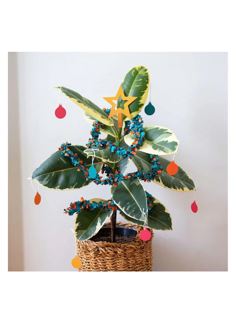 توكينج تيبلز Talking Tables Pot Plant Christmas Decorations Set for Real or Artificial Succulents | Xmas Gifts for Houseplant Lovers, Novelty Stocking Stuffers, Eco-Friendly Tinsel, Star Tree Topper and Baubles