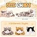 Harrycle 3 Pcs 9 Inch Cat Stuffed Animal Plush Gift Cute Kitten Plush Toys Small Cat Stuffed Animal Soft Sleeping Supplies for Boys Girls Easter Birthday Baby Shower Party FavorsSweet Style - Image 4