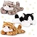 Harrycle 3 Pcs 9 Inch Cat Stuffed Animal Plush Gift Cute Kitten Plush Toys Small Cat Stuffed Animal Soft Sleeping Supplies for Boys Girls Easter Birthday Baby Shower Party FavorsSweet Style - Image 2