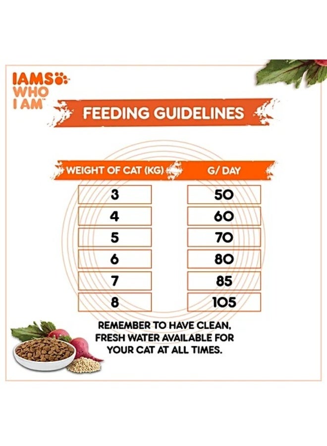 إيامز بروآكتيف هيلث - طعام جاف فاخر للقطط البالغة الصحية بنكهة الدجاج، تغذية كاملة ومتوازنة، مناسب للقطط من عمر سنة فما فوق، 400 غرام - Image 2