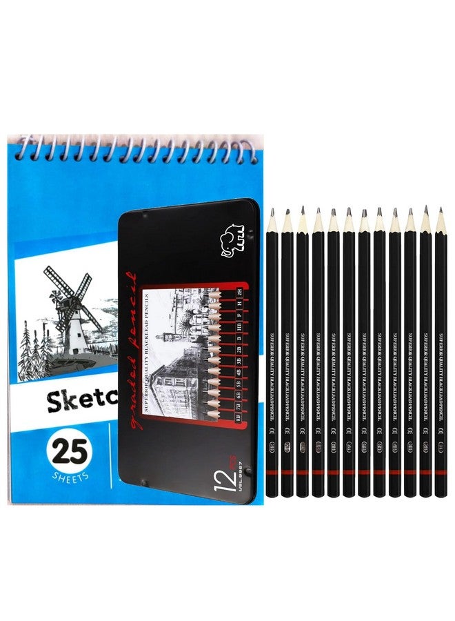 Corslet طقم كورسلت من 13 قلم رصاص للفنانين للرسم، مجموعة أقلام رسم للفنانين 12 قطعة أقلام رسم B 2B 3B 4B 5B 6B 7B 8B Hb H 2H F في علبة معدنية، أقلام رسم مع 25 ورقة دفتر رسم A5، أسود - Image 1