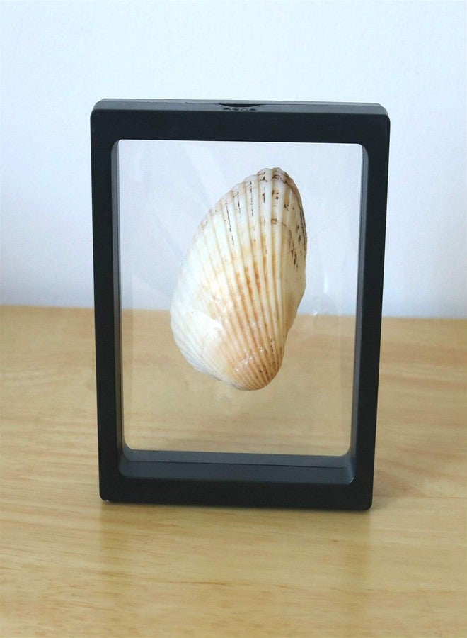 HillSpring إطار عرض عملات التحدي، حامل ثلاثي الأبعاد شفاف عائم، صندوق عرض صغير للميداليات، ميداليات AA، المجوهرات، أسود، 4.3 بوصة × 4.3 بوصة × 0.8 بوصة - Image 3