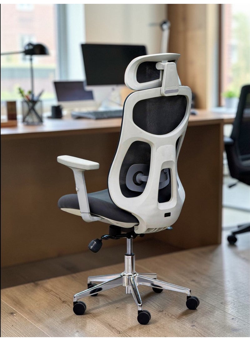602B Executive Ergonomic Mesh Office Chair with High-Back Support, Adjustable Lumbar & Premium Chrome Base - Grey - Image 1