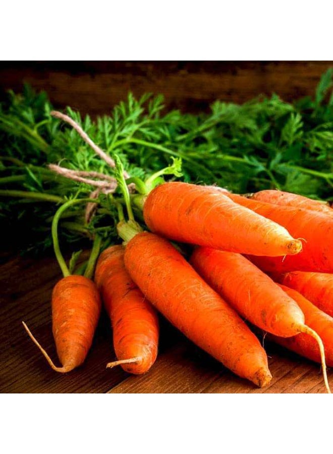 Carrot Early Nantus Desi Vegetable Seeds
